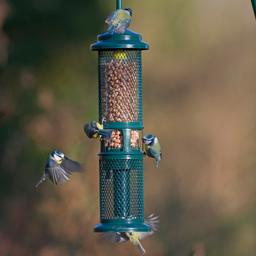 Brome Squirrel Buster Peanut Feeder