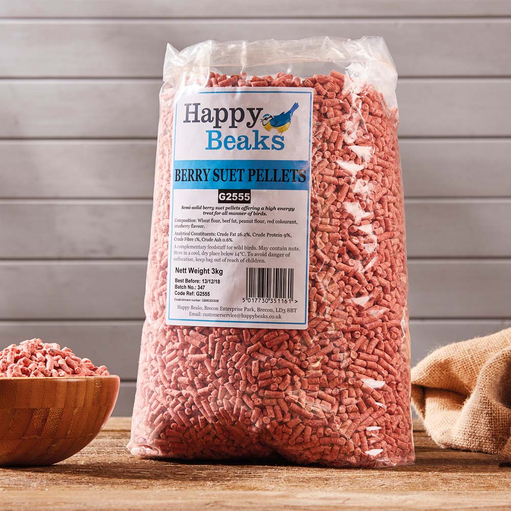 Berry Suet Pellets