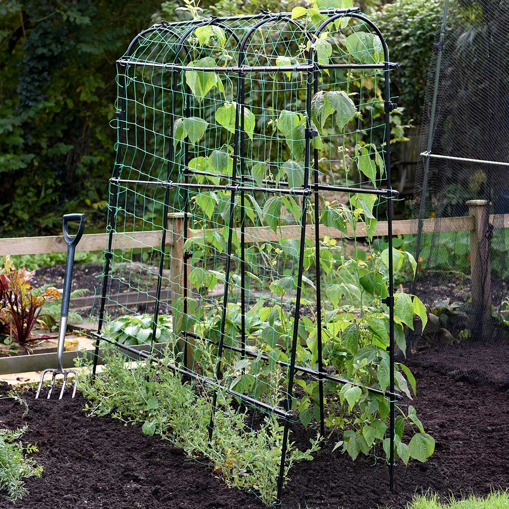 Garden Gear Pea and Bean Tunnel 1.8 x 1.8m