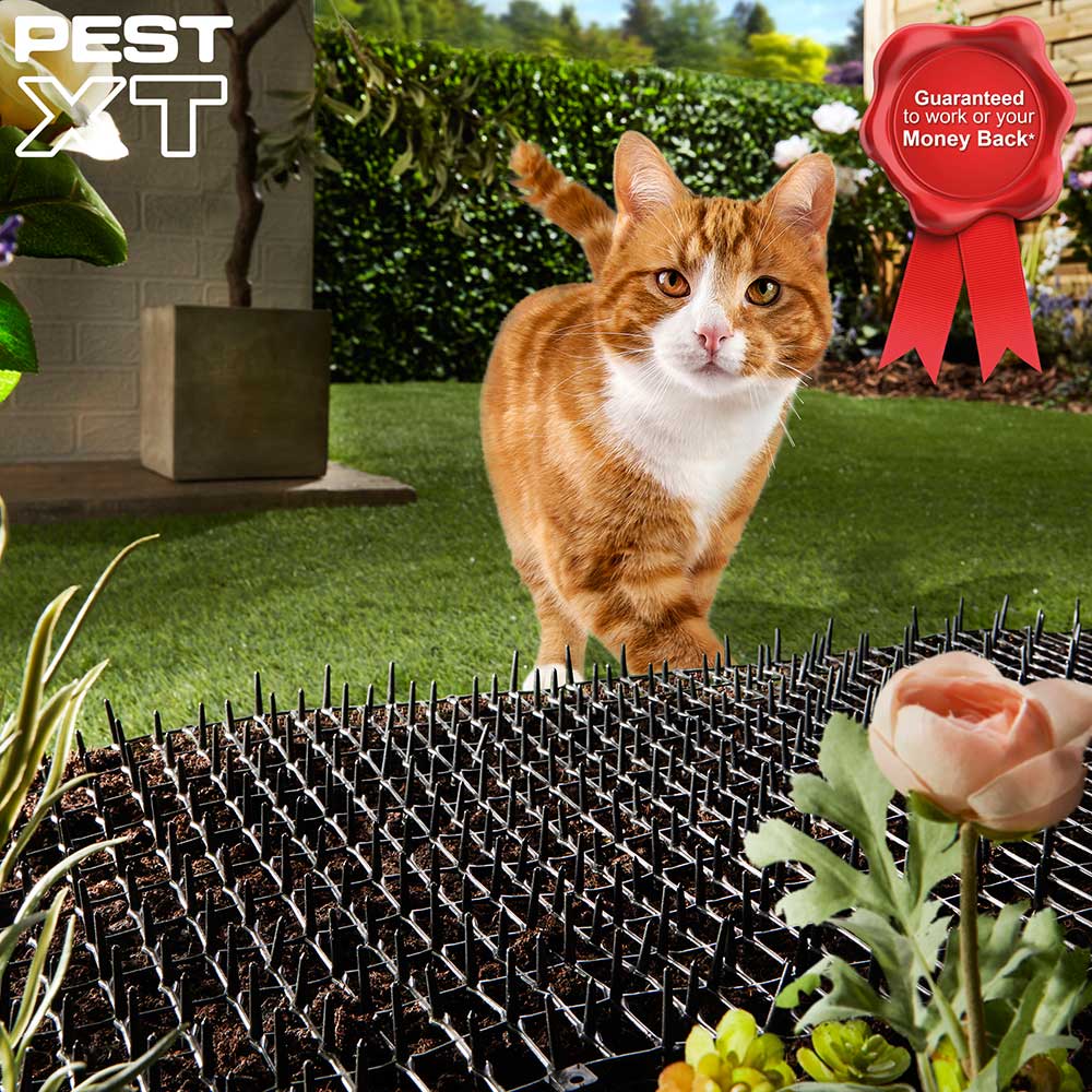 Pest XT Cat Scat Mat
