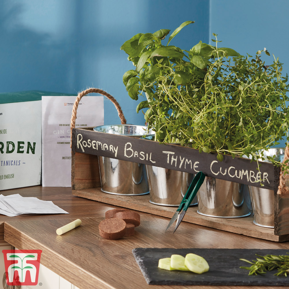 Gin Garden Seed Kit - Gift