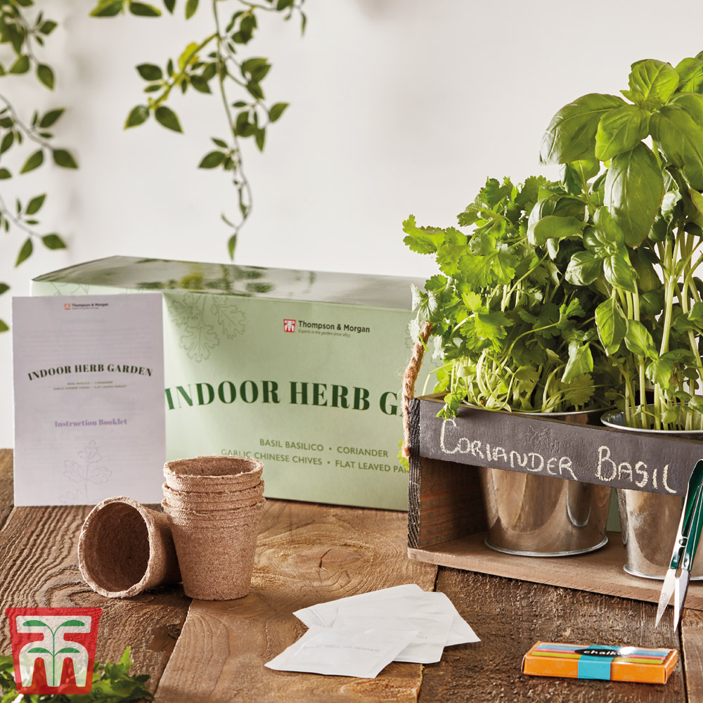 Indoor Herb Garden Seed Kit - Gift