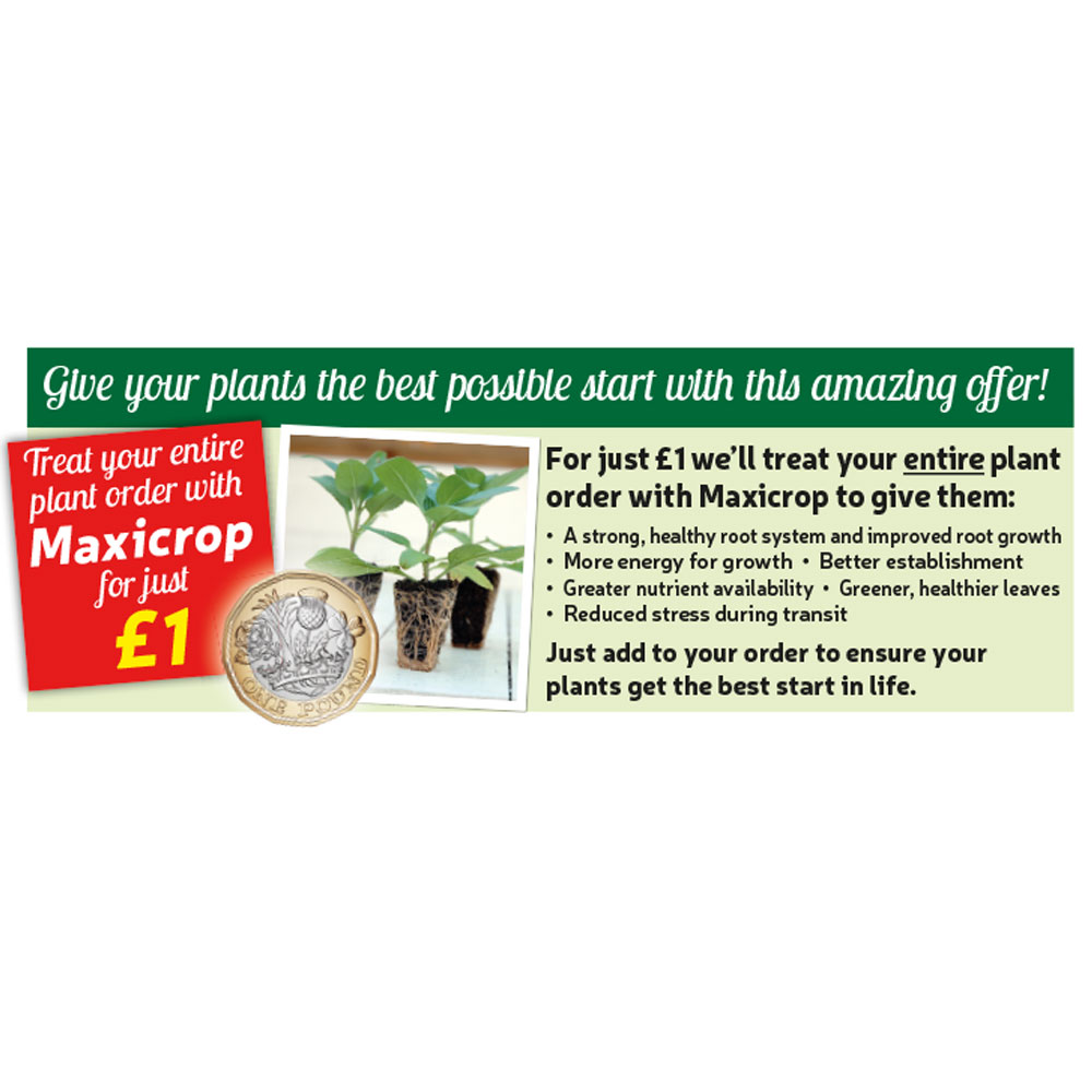 Maxicrop Plant Treatment