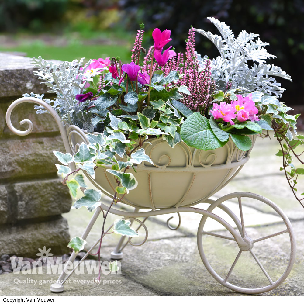 Metal Wheelbarrow Planter