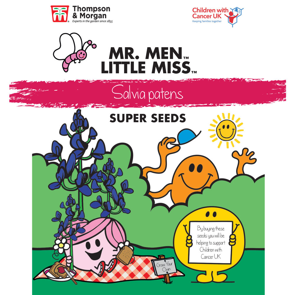 Mr. Men&trade; Little Miss&trade; Salvia patens