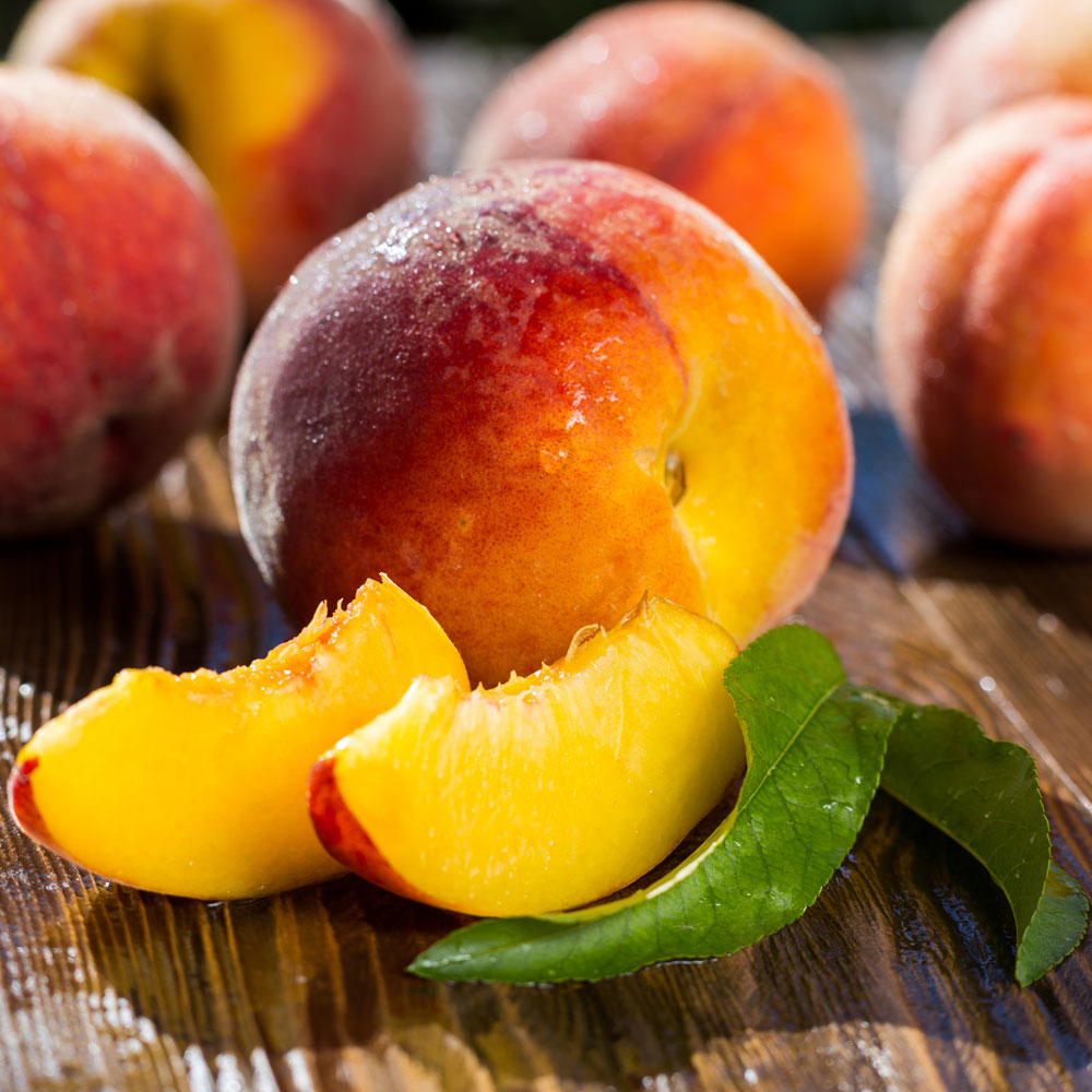 Peach 'Peregrine' at Van Meuwen