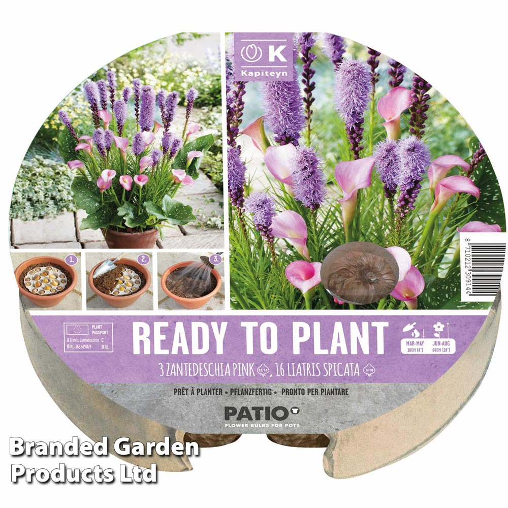 Plant-O-Tray Preplanted Zantedeschia & Liatris