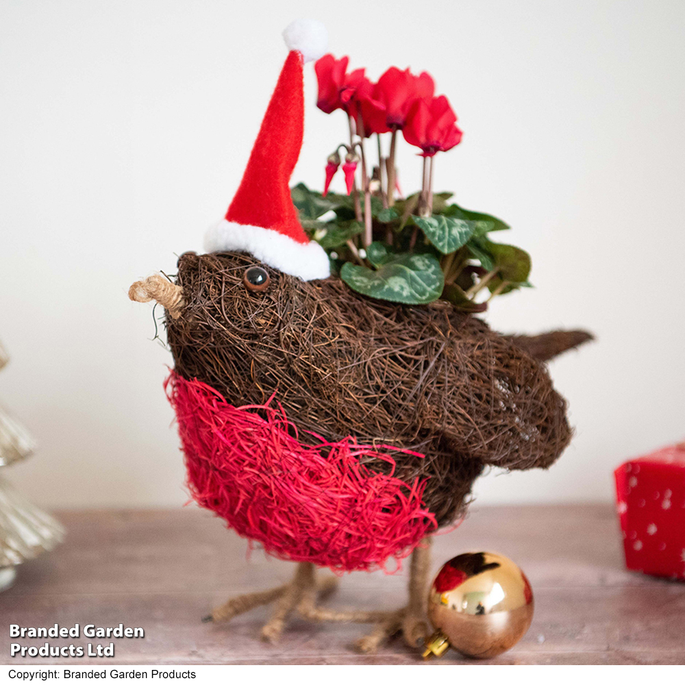Robin Festive Brushwood Planter - Gift