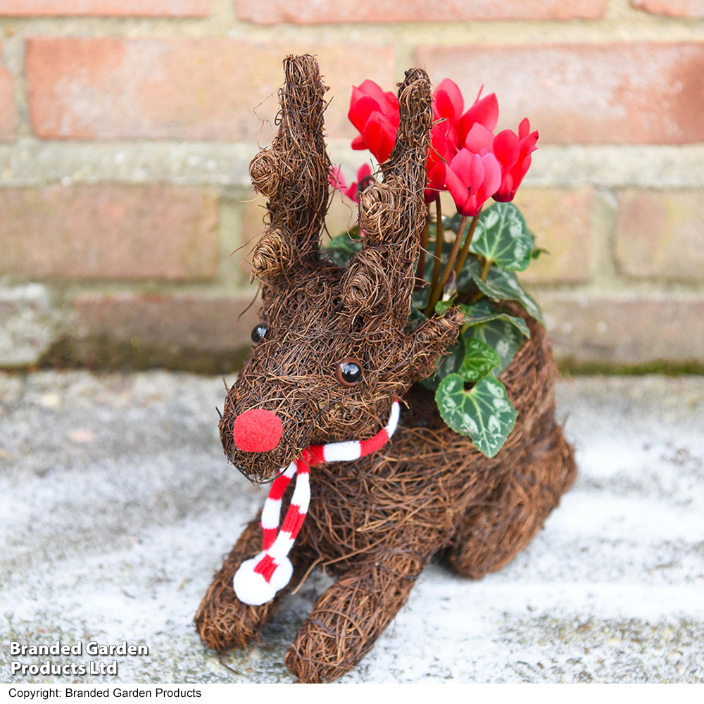 Sitting Rudolph Festive Brushwood Planter - Gift