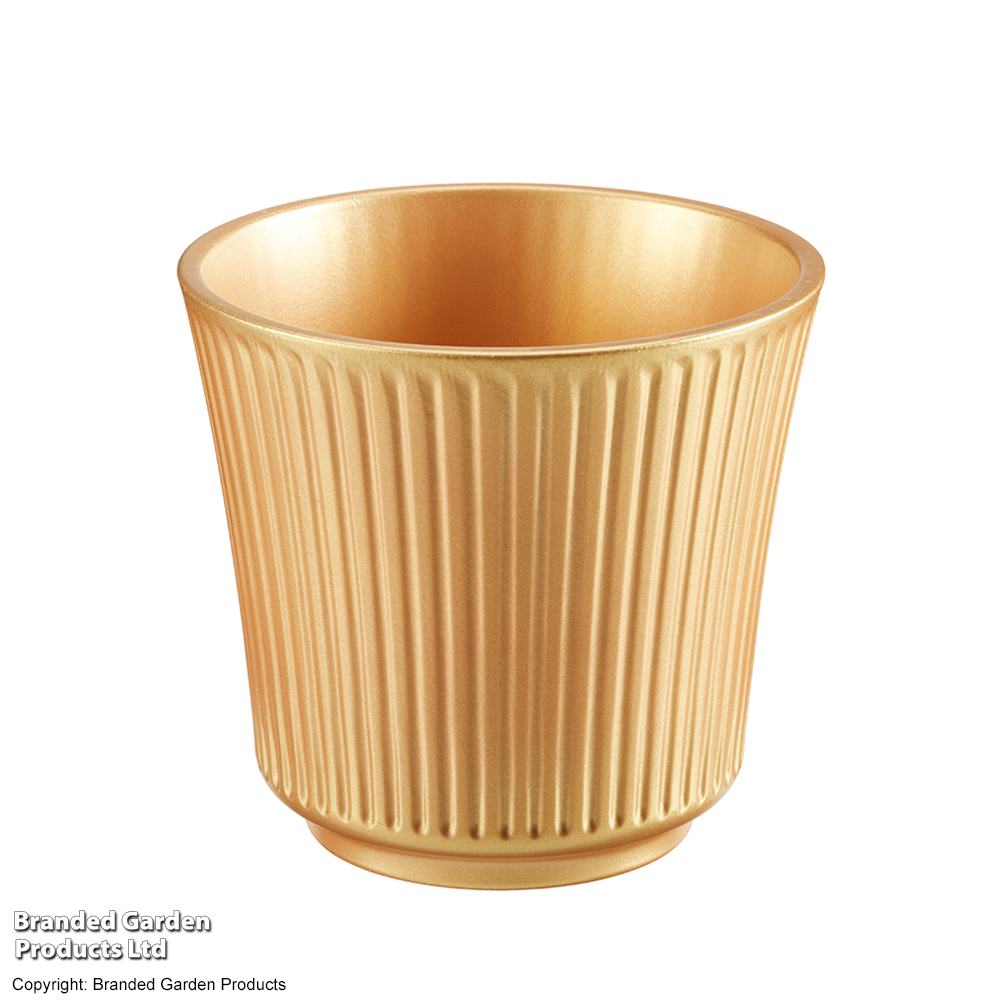 Gold Ceramic Pot