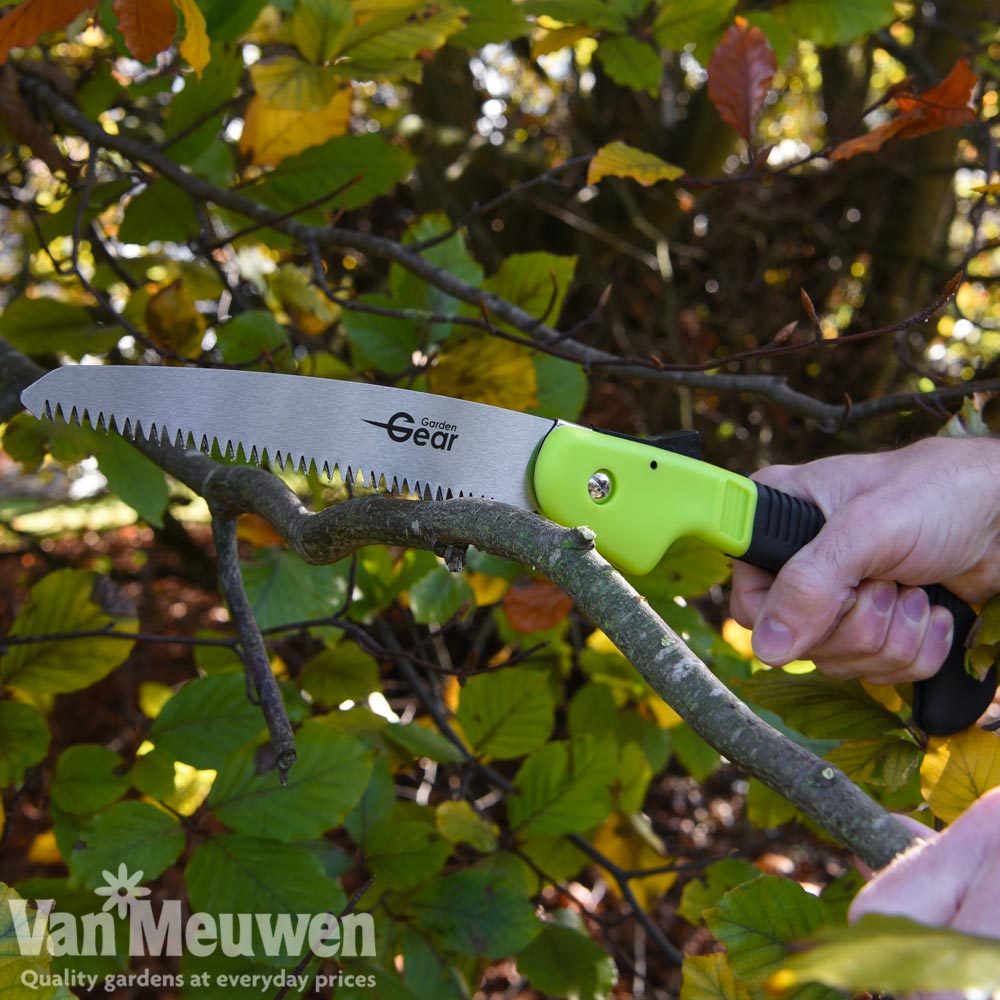 Pruning Saw