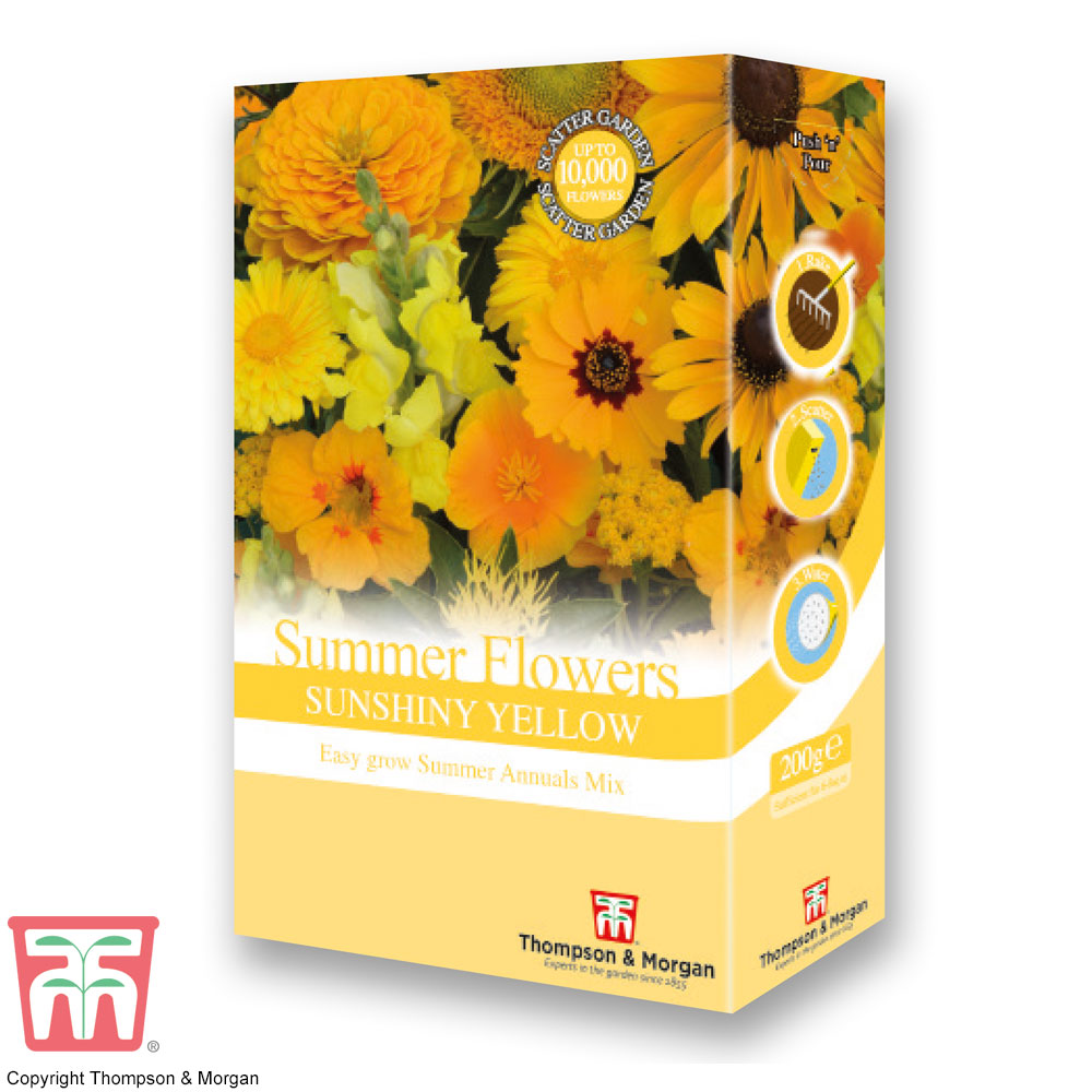 Summer Flowers Theme Yellow Scatter Pack