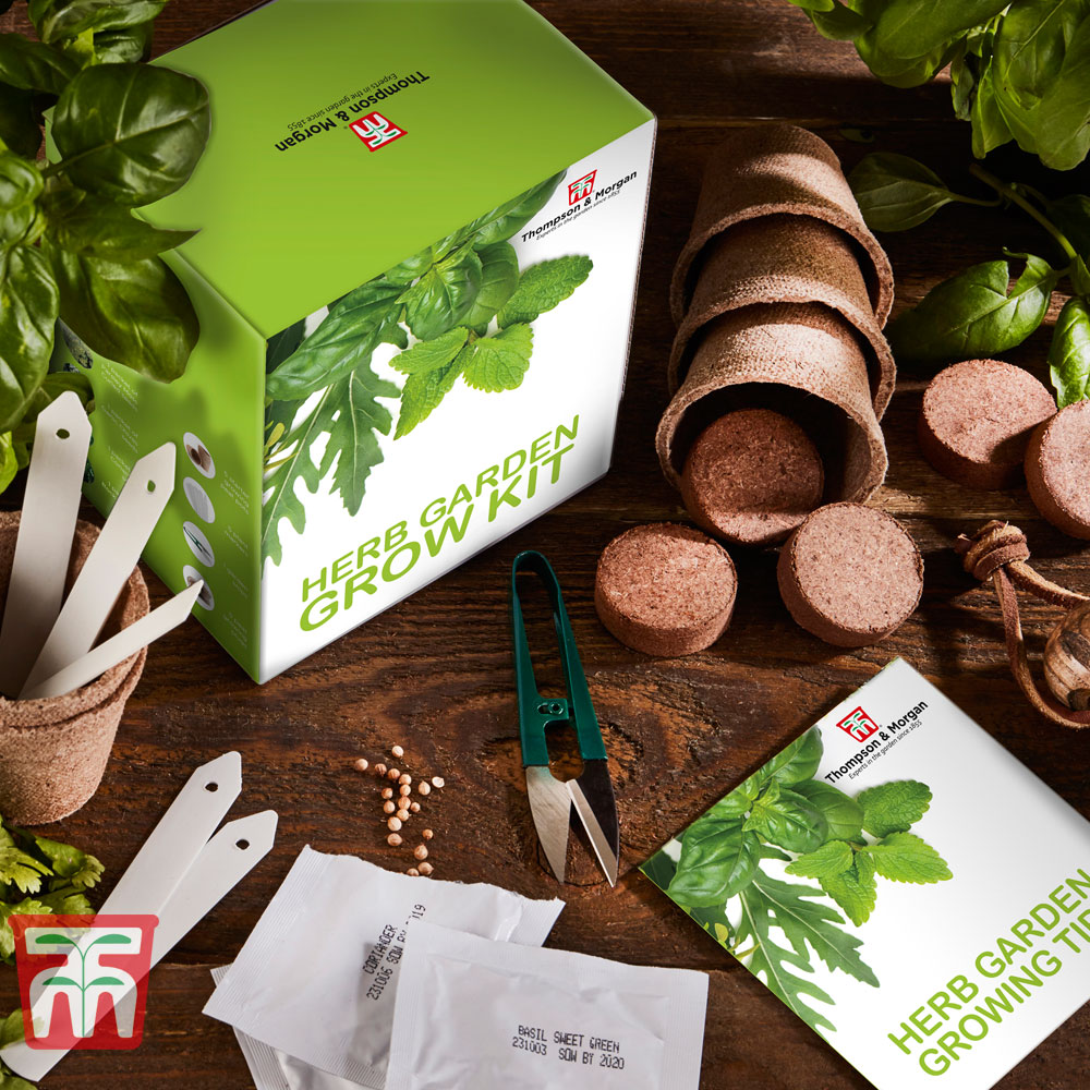 Herb Garden Growing Kit - Gift