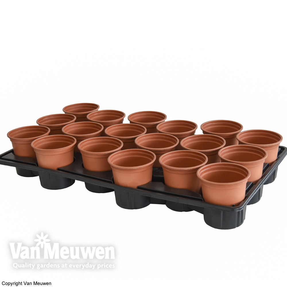 Shuttle Trays and Pots