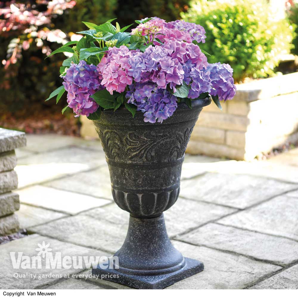 Tall Urn Planter