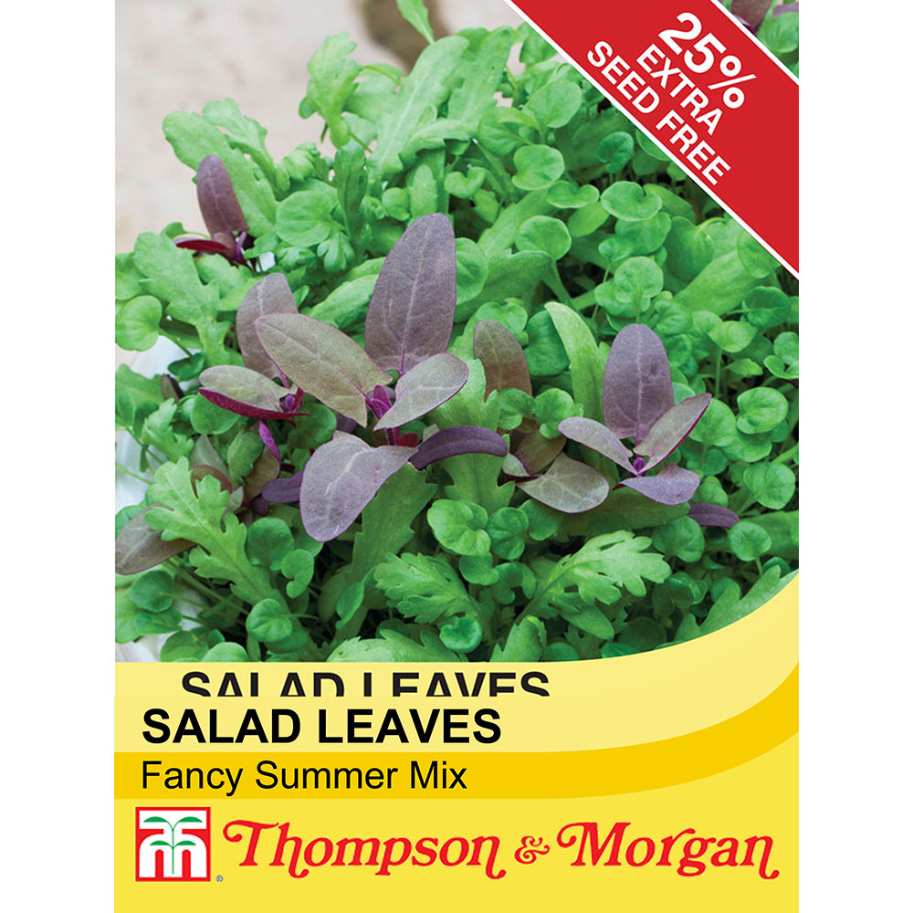 Salad Leaves 'Fancy Summer Mix'