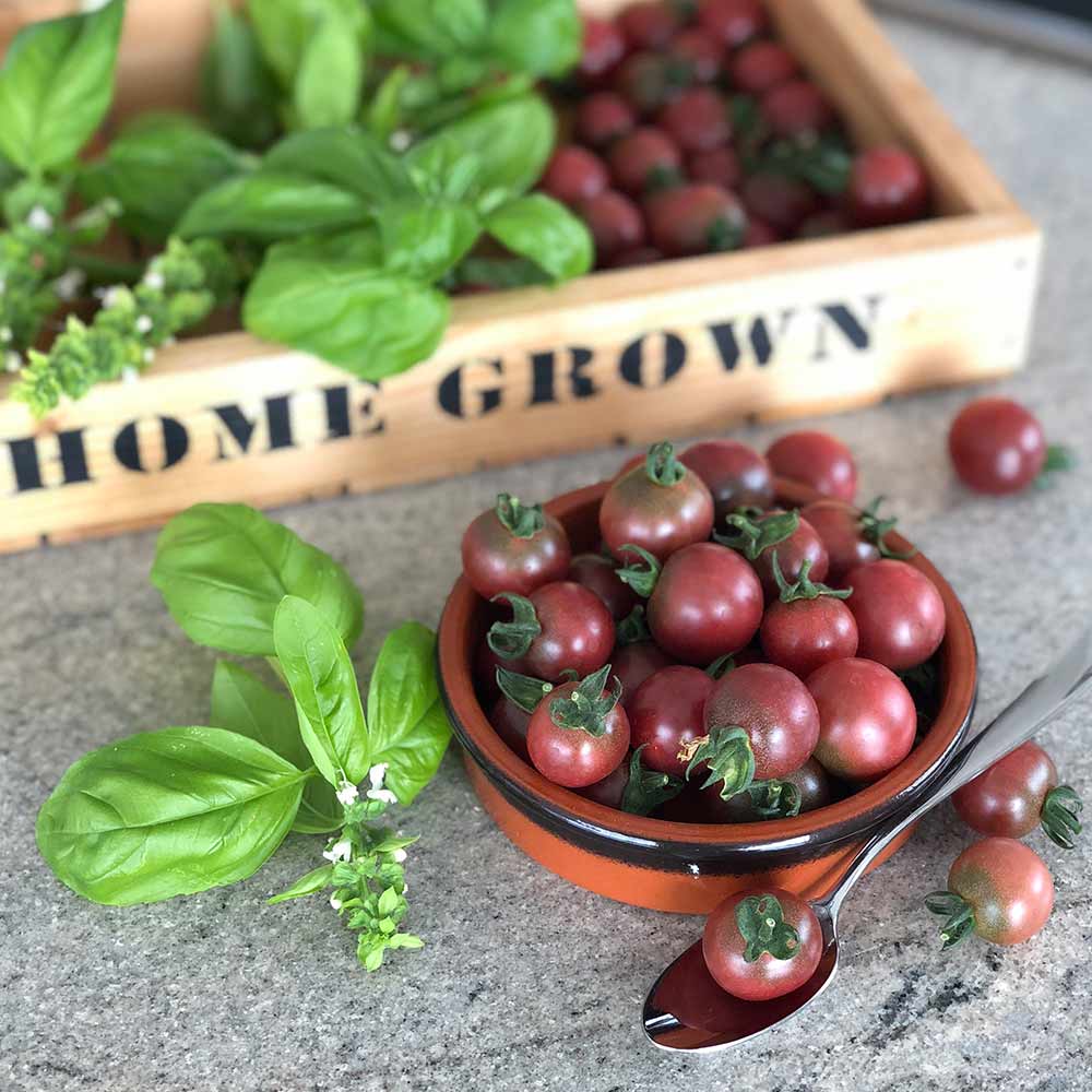 Tomato 'Rosella'