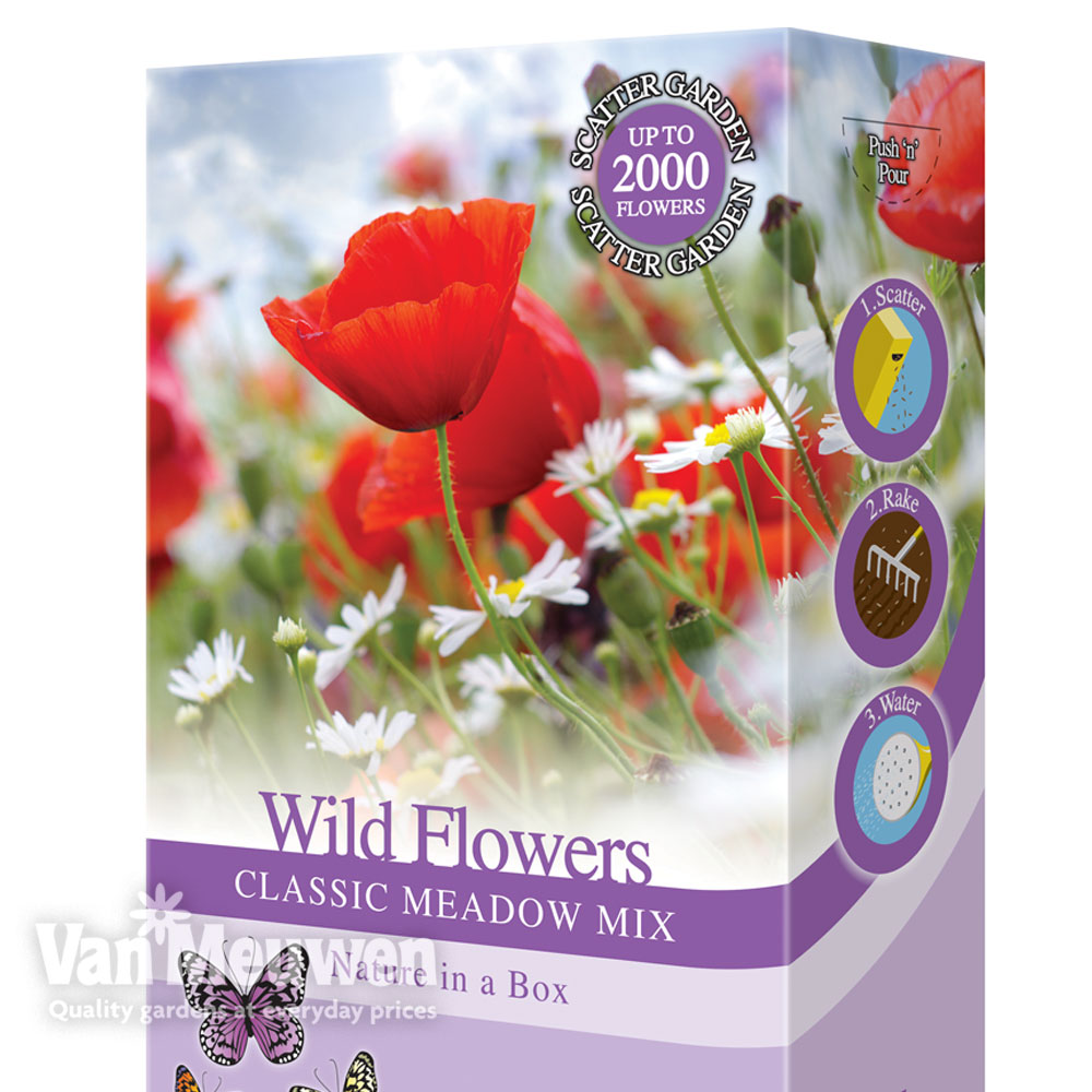 Wildflowers 'Classic Meadow Mix'