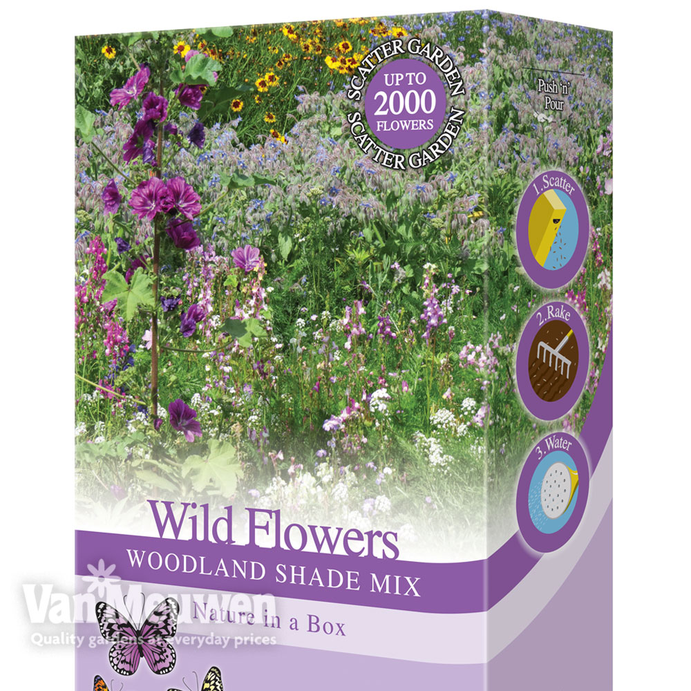 Wildflowers 'Woodland Shade Mix'