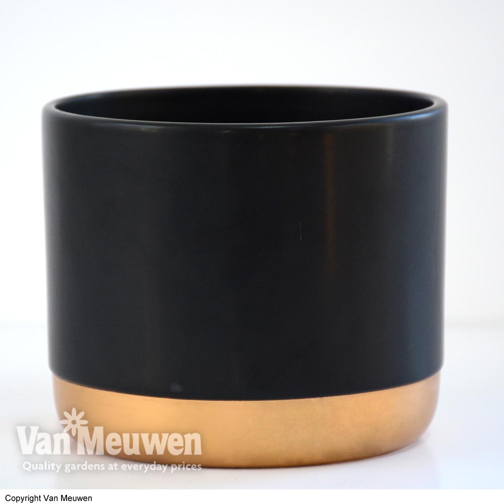 Two-tone ceramic pots - Black/Gold