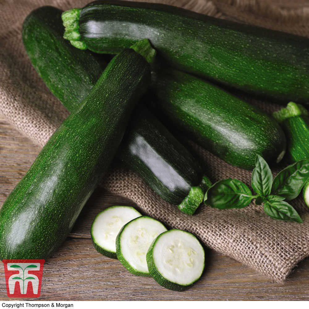 Organic Courgette 'Black Beauty'