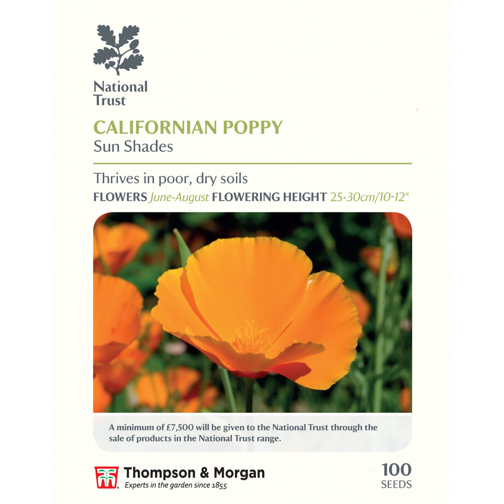Californian Poppy 'Sun Shades' (National Trust)