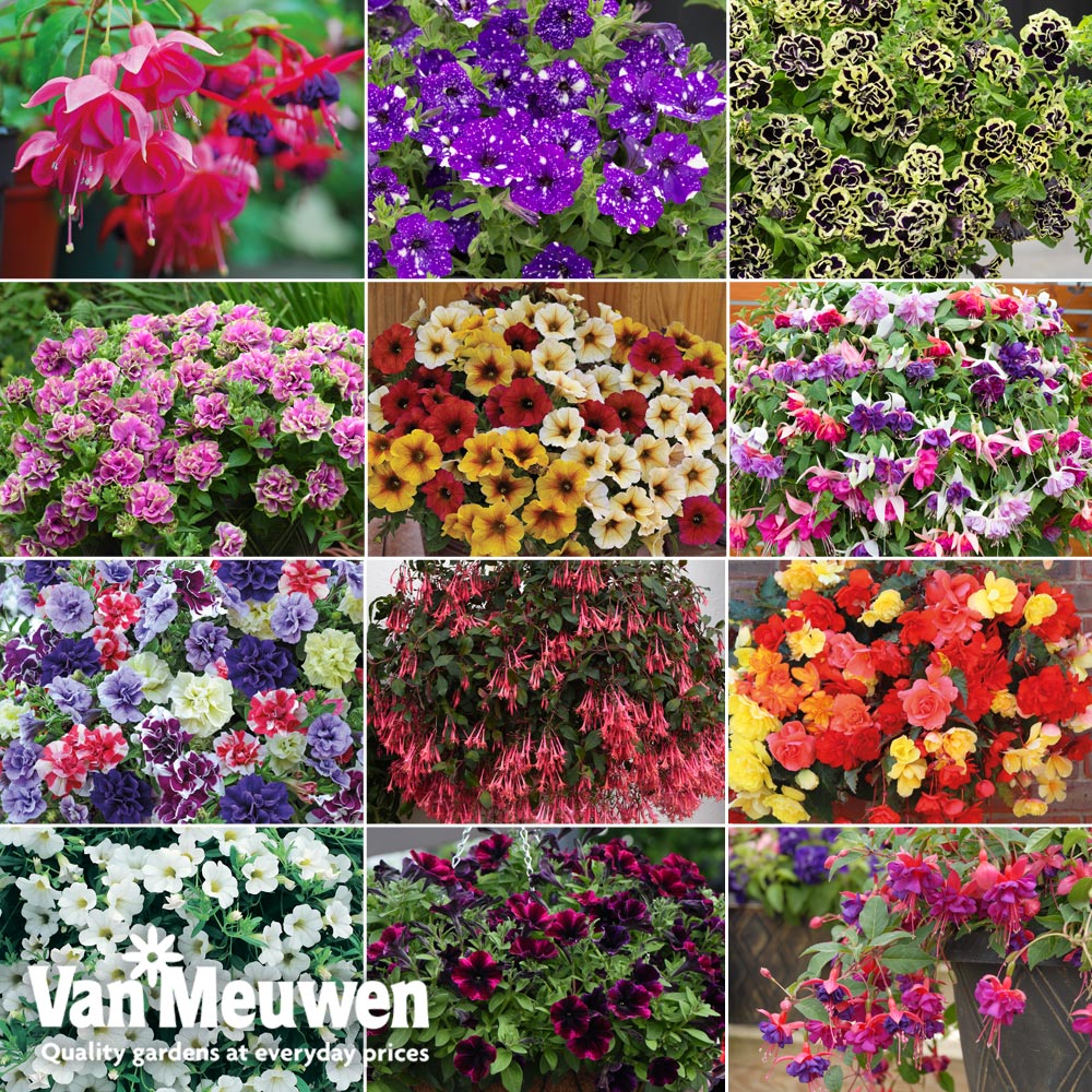 Nurseryman's Choice Container Mix