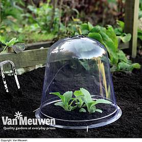Bell Cloche
