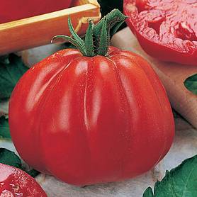 Tomato 'Cuore di Bue' - Vita Sementi® Italian Seeds