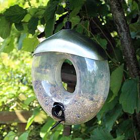 Kingfisher Deluxe Polished Steel Donut Seed Feeder