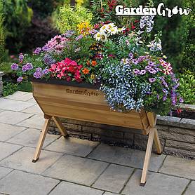 Garden Grow Large Wooden Planter with £20 worth of veg seed