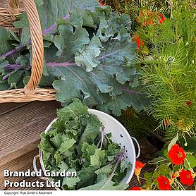 Kale Cottager's