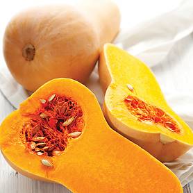Squash 'Harrier' F1 Hybrid (Winter)