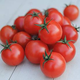 Tomato Seeds 'Gardener's Delight'