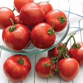 Tomato 'Cristal' F1 Hybrid
