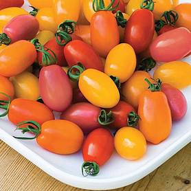 Tomato 'Rainbow Blend' F1 Hybrid