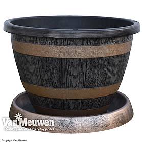 Wooden Barrel Effect Pot & Saucer