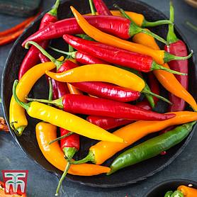 Chilli Pepper 'Heatwave' (Hot)