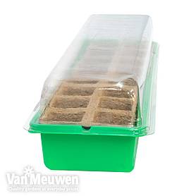16 Cell Window Propagator
