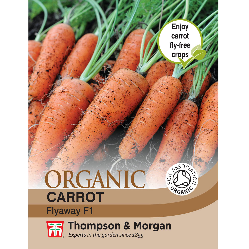 Carrot 'Flyaway' F1 Hybrid - Organic Seeds