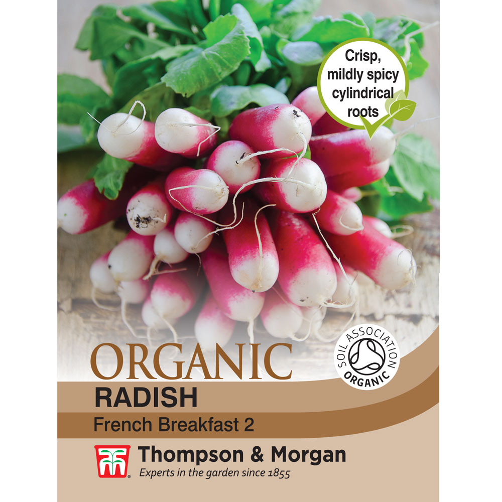 Radish 'French Breakfast 2' - Organic Seeds