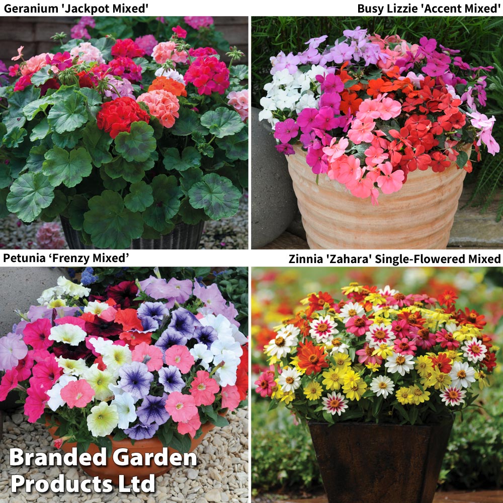 Garden Ready Container Collection