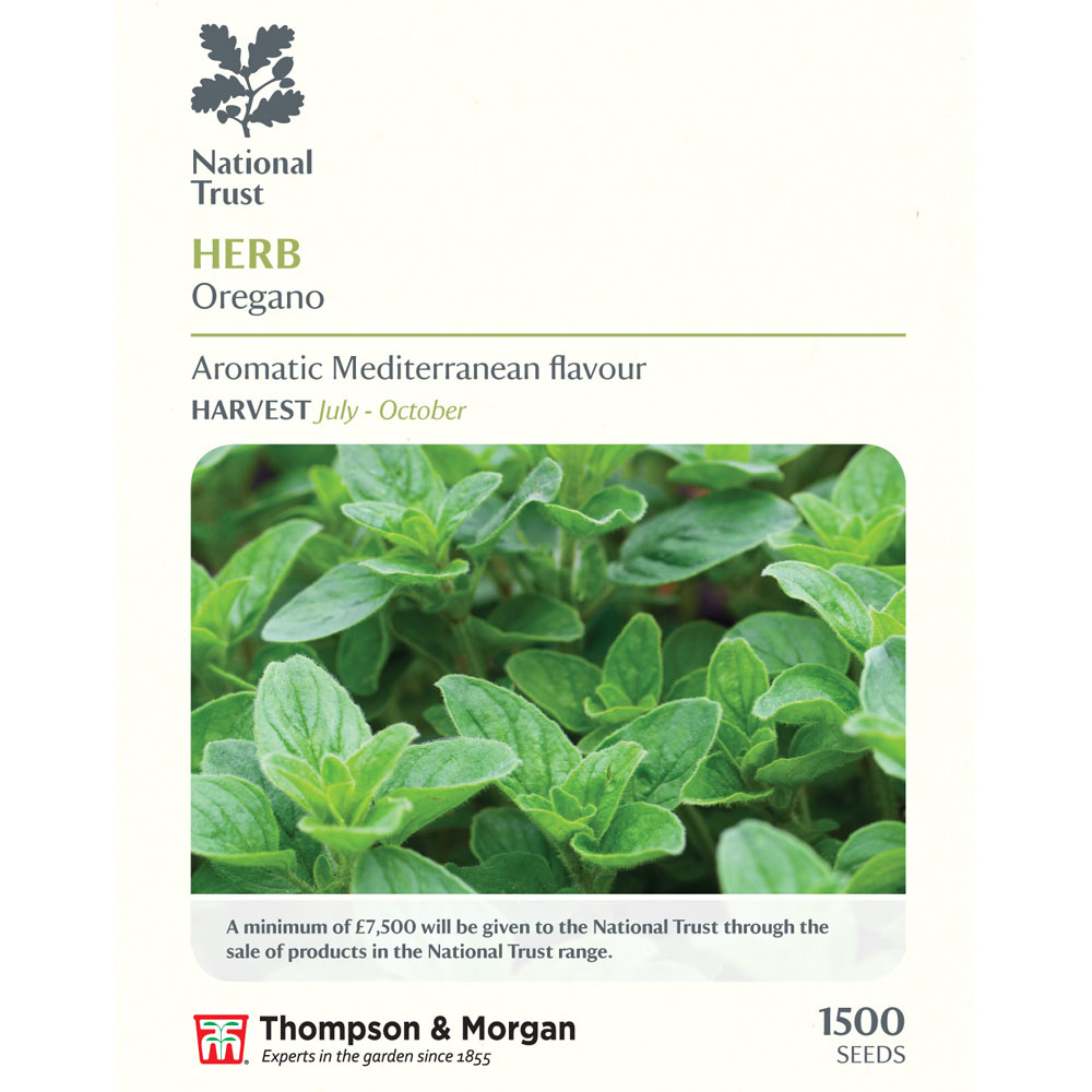 Oregano (National Trust)