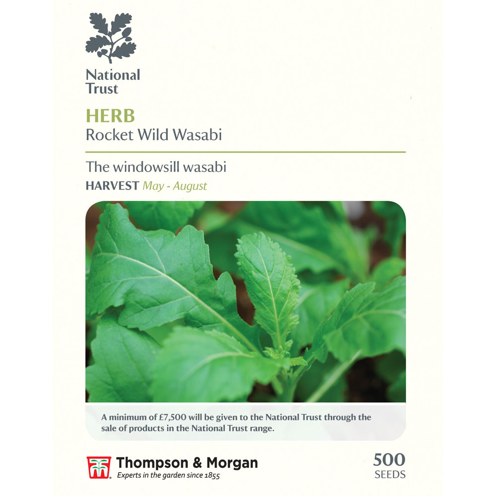 Wasabi Rocket (National Trust)