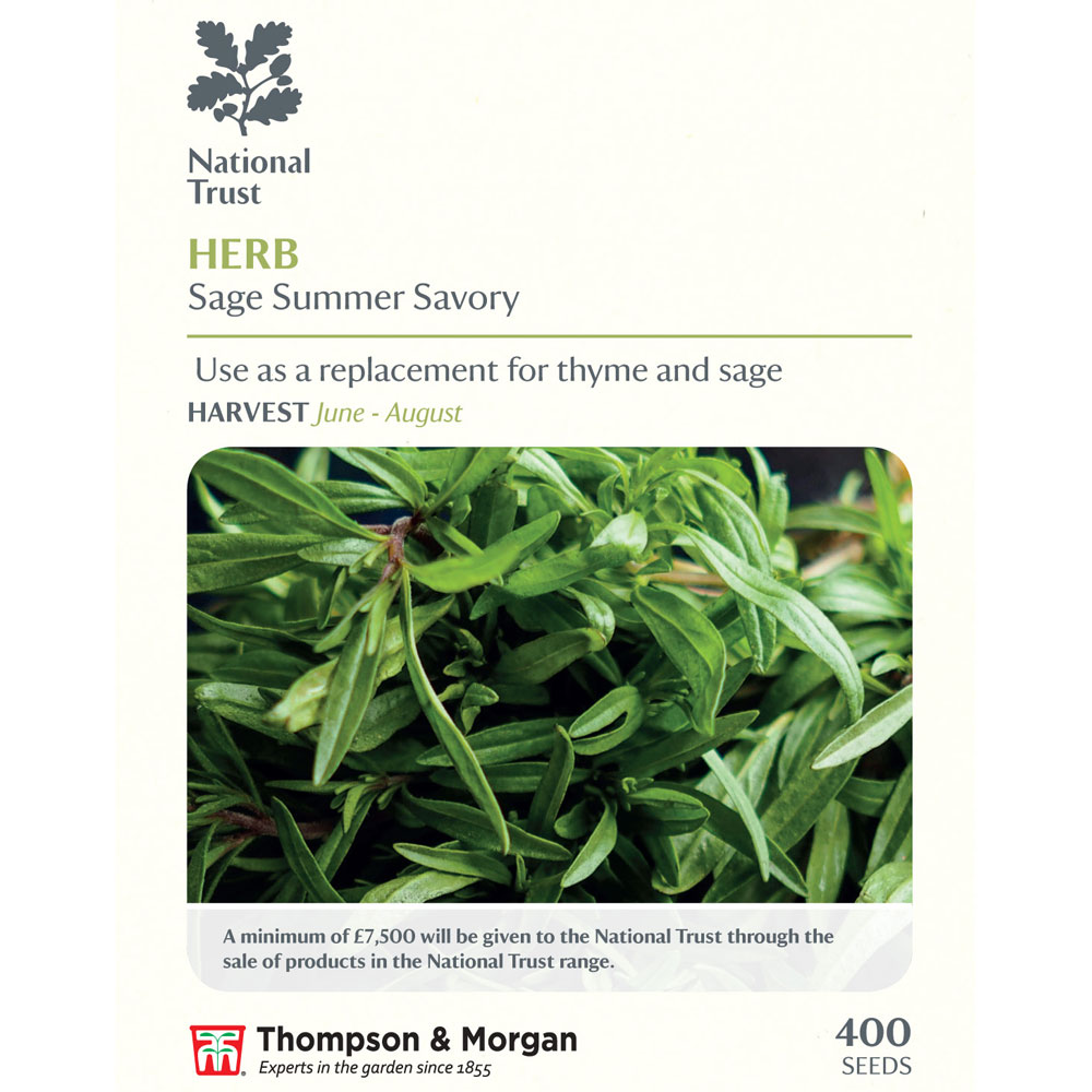 Summer Savory (National Trust)