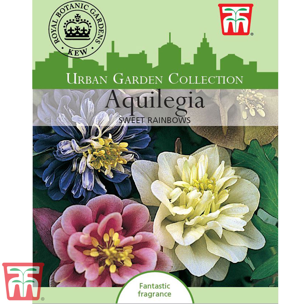 Aquilegia 'Sweet Rainbows' - Kew Collection Seeds