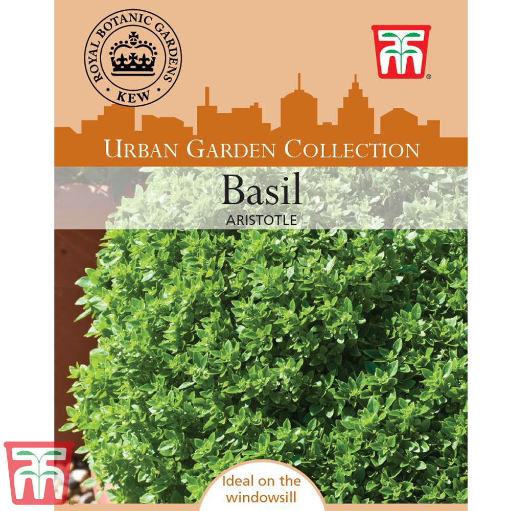 Basil 'Aristotle' - Kew Collection Seeds