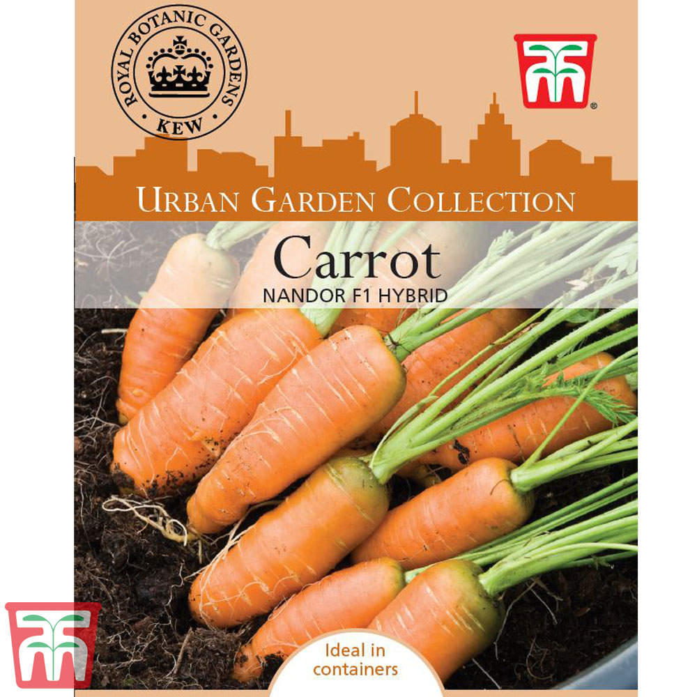 Carrot 'Nandor' F1 Hybrid - Kew Collection Seeds