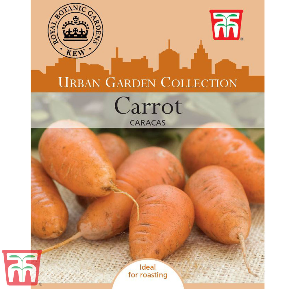 Carrot 'Caracas' - Kew Collection Seeds