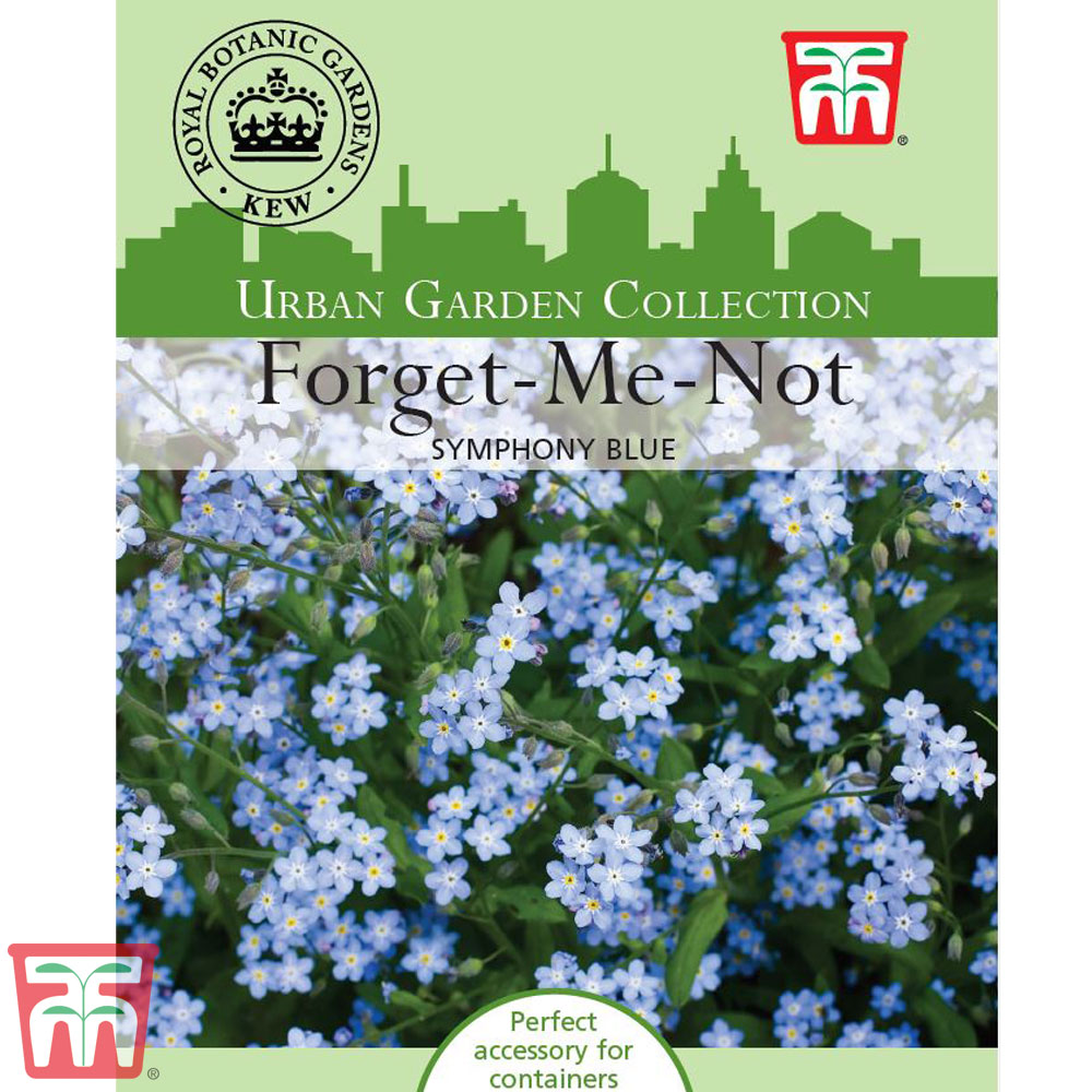 Myosotis 'Symphony Blue' - Kew Collection Seeds